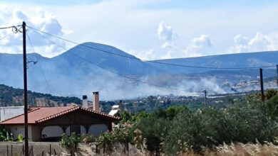 Οριοθετήθηκε-η-φωτιά-στα-Καλύβια,-δείτε-βίντεο