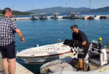 Βίντεο:-Στα-ανοιχτά-της-Γλύφας-κατέληξε-σκύλος,-τον-έσωσαν-με-σκάφος