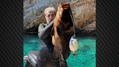 Ο-Παύλος-Πολάκης-στέλνει-μήνυμα-στον-Τσίπρα-με…-ροφό-13,5-κιλών:-«Εμείς-δεν-ψαρεύουμε-σε-θολά-νερά»