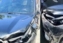 Σοβαρό-τροχαίο-στα-Γρεβενά:-ΙΧ-συγκρούστηκε-με-αρκούδα-στην-Εγνατία-Οδό,-σώος-ο-οδηγός