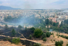 Εξετάζεται-η-φωτιά-στη-Φιλοθέη-να-ξεκίνησε-από-μελίσσια,-αναζητούνται-οι-μελισσοκόμοι