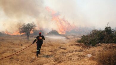 Πάνω-από-70-συλλήψεις-και-σχεδόν-400.000-ευρώ-πρόστιμα-για-πυρκαγιές-από-την-αρχή-του-έτους