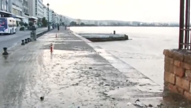 Βγήκε-στην-στεριά-το-φυτοπλαγκτόν-στο-λιμάνι-της-Θεσσαλονίκης,-δείτε-βίντεο