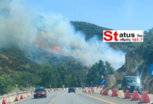 Φωτιά-στα-Πεύκα-Θεσσαλονίκης,-112-στους-κατοίκους:-Επιχειρούν-αεροσκάφη-και-ελικόπτερο