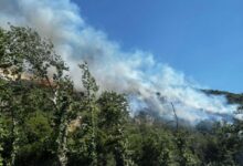 Τουρνάς:-h-απειλή-τη-φετινή-αντιπυρική-περίοδο-είναι-η-συσσωρευμένη-καύσιμη-ύλη