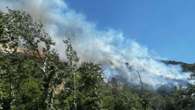 Τουρνάς:-h-απειλή-τη-φετινή-αντιπυρική-περίοδο-είναι-η-συσσωρευμένη-καύσιμη-ύλη