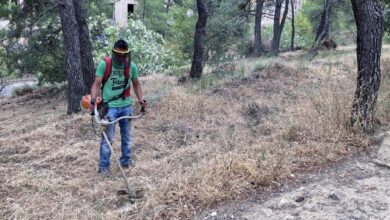 Παρατείνεται-η-προθεσμία-των-καθαρισμών-οικοπέδων-έως-τις-22-Ιουνίου