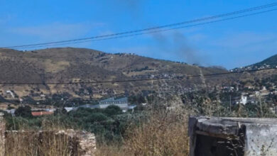 Οριοθετήθηκε-η-φωτιά-στην-Κερατέα:-Επιχείρησαν-πάνω-από-60-πυροσβέστες-και-εναέρια-μέσα