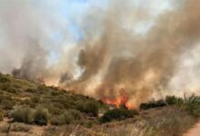 Πέντε-φωτιές-το-Σάββατο-λόγω-κεραυνών,-όλες-τέθηκαν-υπό-έλεγχο