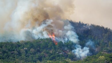 Ο-αθέατος-κίνδυνος-από-τον-καπνό-των-πυρκαγιών:-Τι-δείχνουν-τα-νέα-δεδομένα-για-τον-καρκίνο