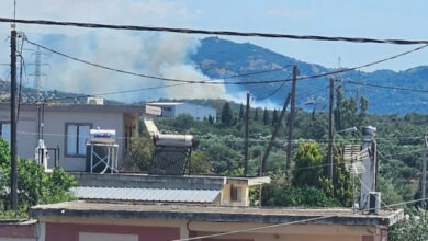 Οριοθετήθηκε-η-φωτιά-σε-δασική-έκταση-στα-Ζησιμαίικα-Αχαΐας