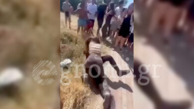 Εύβοια:-Άγριο-ξύλο-ανάμεσα-σε-δύο-μαθήτριες-Γυμνασίου,-δείτε-βίντεο