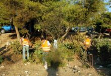 Πότε-λήγει-η-παράταση-για-τα-ακαθάριστα-οικόπεδα,-τα-πρόστιμα-για-όσους-δεν-συμμορφωθούν