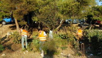 Πότε-λήγει-η-παράταση-για-τα-ακαθάριστα-οικόπεδα,-τα-πρόστιμα-για-όσους-δεν-συμμορφωθούν