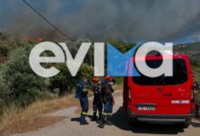 Φωτιά-σε-δασική-έκταση-στην-Εύβοια-–-Ισχυρές-δυνάμεις-στη-μάχη-της-κατάσβεσης