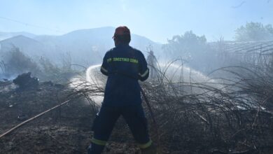 Κατεσβέσθη-η-πυρκαγιά-στη-Διώνη-στο-Πικέρμι