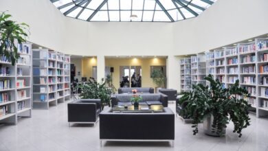 Πανελλαδικές-2026:-Πώς-να-μετατρέψεις-τα-αποτελέσματα-σε-αφετηρία-για-ποιοτικές-σπουδές
