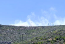 Φωτιά-τώρα-στη-Βοιωτία-και-μήνυμα-από-το-112,-σηκώθηκαν-εναέρια-μέσα