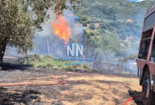 Φωτιά-τώρα-σε-δάσος-στη-Μαμουλάδα-Ναυπακτίας,-σηκώθηκαν-τρία-εναέρια,-δείτε-βίντεο