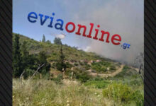 Φωτιά-τώρα-σε-δάσος-στο-Σπαθάρι-Ευβοίας,-σηκώθηκαν-11-εναέρια,-δείτε-βίντεο