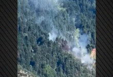 Φωτιά-τώρα-σε-δάσος-στα-Κρυονέρια-Αιτωλοακαρνανίας,-σηκώθηκαν-τέσσερα-εναέρια,-δείτε-βίντεο