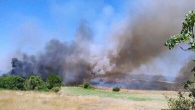 Ανεξέλεγκτη-η-φωτιά-στη-Βάρδα-Ηλείας:-Επιχειρούν-4-εναέρια
