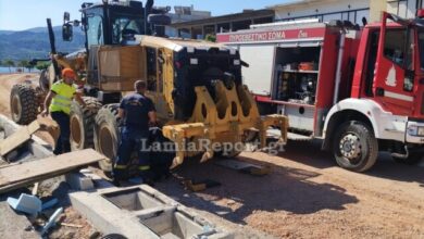 Πυροσβέστες-απεγκλώβισαν-τρία-γατάκια-από-μηχάνημα-έργου-στη-Φθιώτιδα,-δείτε-βίντεο