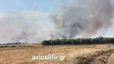 Οριοθετήθηκε-η-φωτιά-στον-Βαθύλακκο-Θεσσαλονίκης