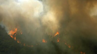 Εννιά-τραυματίες-στις-δασικές-πυρκαγιές-στην-Πορτογαλία,-ζητεί-ενισχύσεις-από-Ευρώπη-και-Μαρόκο