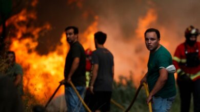 Πορτογαλία:-Υπό-έλεγχο-η-μεγάλη-πυρκαγιά-στο-βόρειο-τμήμα-της-χώρας
