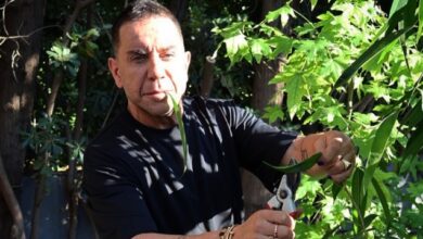Ο-Γιώργος-Μαζωνάκης-φωτογραφίζεται-ως…-«αγρότης-μόνος-ψάχνει»