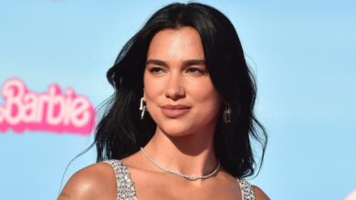 Η-dua-lipa-έφτιαξε-βιβλιοθήκη-με-τα-βιβλία-που-έχουν-λογοκριθεί