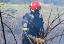 Μια-σύλληψη-για-πρόκληση-πυρκαγιάς-από-αμέλεια-στα-Τρίκαλα