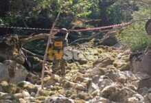 Εντοπίστηκε-χειροβομβίδα-βρετανικής-προέλευσης-στην-Αμφίκλεια,-την-εξουδετέρωσαν-πυροτεχνουργοί