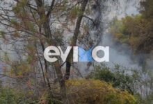 Φωτιά-σε-δασική-έκταση-στην-Εύβοια,-πιθανότατα-προκλήθηκε-μετά-από-πτώση-κεραυνού