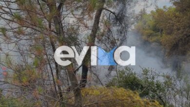 Φωτιά-σε-δασική-έκταση-στην-Εύβοια,-πιθανότατα-προκλήθηκε-μετά-από-πτώση-κεραυνού
