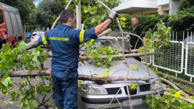 Δέντρο-έπεσε-πάνω-σε-αυτοκίνητο-στο-Μενίδι,-δείτε-φωτογραφίες