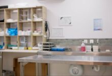 Συνελήφθη-στον-Λαγκαδά-Θεσσαλονίκης-60χρονος-που-έκανε-παράνομα-χειρουργεία-σε-ζώα