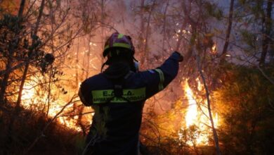 Οριοθετήθηκε-η-φωτιά-στον-Ασπρόπυργο,-μεγάλη-κινητοποίηση-της-Πυροσβεστικής