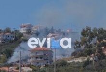 Κατεσβέσθη-η-φωτιά-στην-Ακτή-Νηρέως-στην-Εύβοια