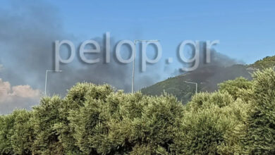 Οριοθετήθηκε-η-φωτιά-στα-Καρτσαναίικα-Πατρέων
