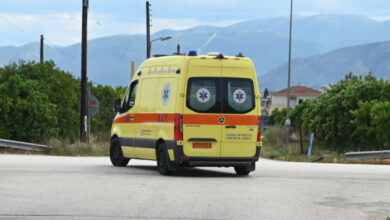 Σοβαρός-τραυματισμός-60χρονου-αγρότη-στη-Χίο:-Έπεσε-από-δέντρο-και-καρφώθηκε-σε-μπετόβεργα