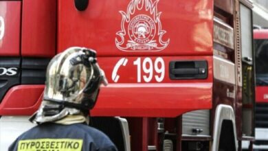 Φωτιά-τώρα-στα-Βασιλικά-Θεσσαλονίκης,-112-στους-κατοίκους-για-ετοιμότητα