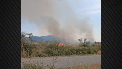 Φωτιά-τώρα-σε-ξερά-χόρτα-στην-Εργάνη-Ροδόπης,-σηκώθηκαν-τέσσερα-εναέρια,-δείτε-βίντεο