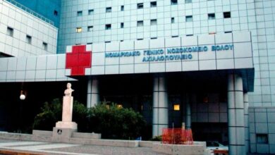 Βόλος:-48χρονος-έπεσε-από-δέντρο-και-δίνει-μάχη-για-τη-ζωή-του