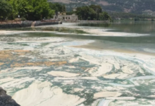 Έντονη-δυσοσμία-στην-Παμβώτιδα,-αφρός-και-κυανοβακτήρια-στη-λίμνη:-Δείτε-βίντεο-και-φωτογραφίες