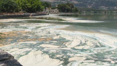 Έντονη-δυσοσμία-στην-Παμβώτιδα,-αφρός-και-κυανοβακτήρια-στη-λίμνη:-Δείτε-βίντεο-και-φωτογραφίες