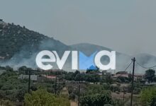 Φωτιά-στην-Εύβοια-κοντά-σε-σπίτια-και-σε-εργοστάσιο