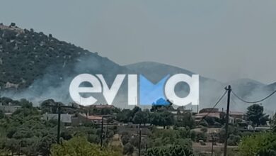 Φωτιά-στην-Εύβοια-κοντά-σε-σπίτια-και-σε-εργοστάσιο