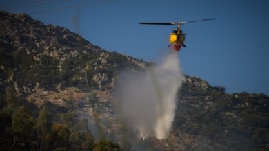 Φωτιά-στα-Βορίζια:-112-για-ετοιμότητα,-σηκώθηκαν-2-εναέρια
